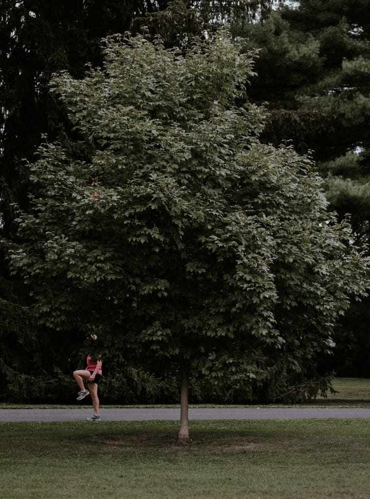 child climbing tree in park