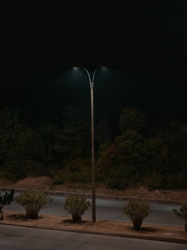 streetlamp at night, dark trees
